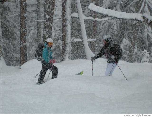 Åkte perfekt skogsåkning hela dagen och det nöa. Foto: N.Ljungwald. Åkare: Cecilia och Larsa.