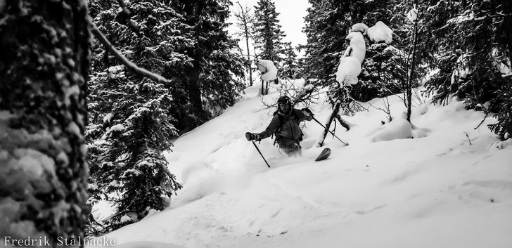 Lappländsk skogsåkning.