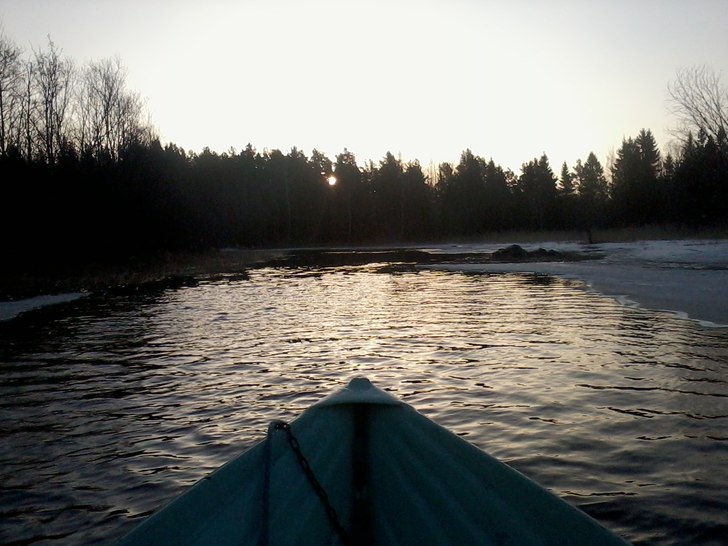 Foto: ian Archibald.