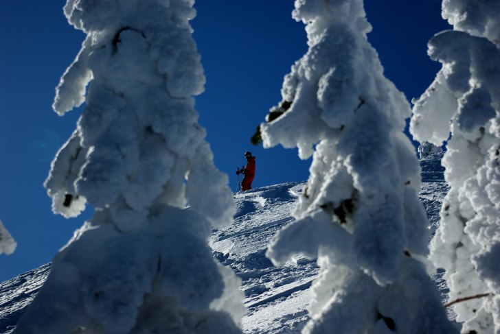 Foto: Johan Carlson.