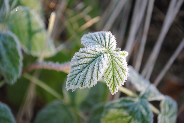 Foto: Linn Östlund.
