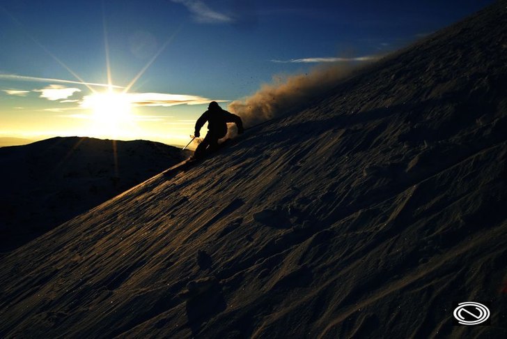 Mjudad. Foto: Jens Blixth. Åkare: Jon Håkansson.