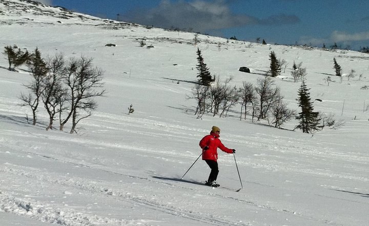 Soligt i Högis.. Foto: Klas Jonsson. Åkare: Jag.