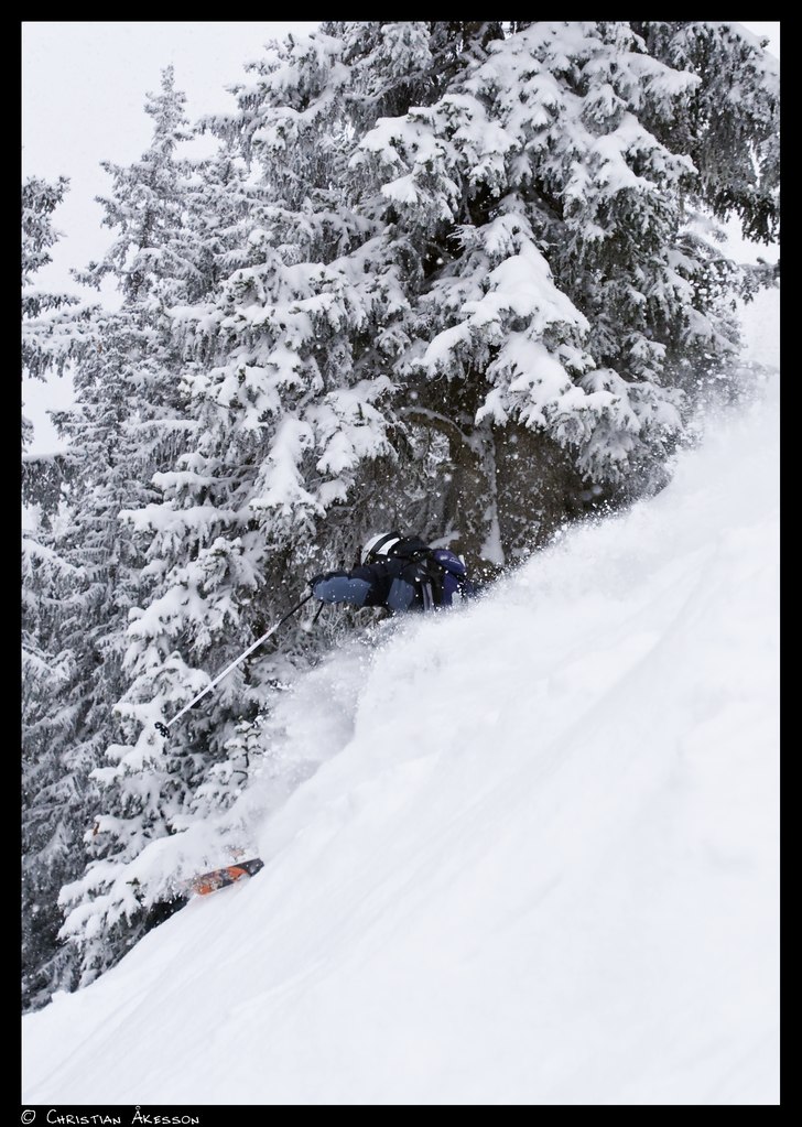 Peter lägger en fet pudersväng i Silvrettaskogen. Foto: Christian Åkesson. Åkare: Peter Andersson.