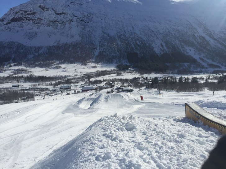 Vi venter
Hoppene venter på aktivitet .