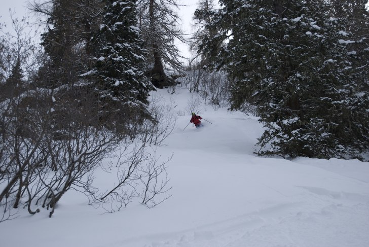 Skogsåkning. Foto: Samuel. Åkare: Philip Gertzell.
