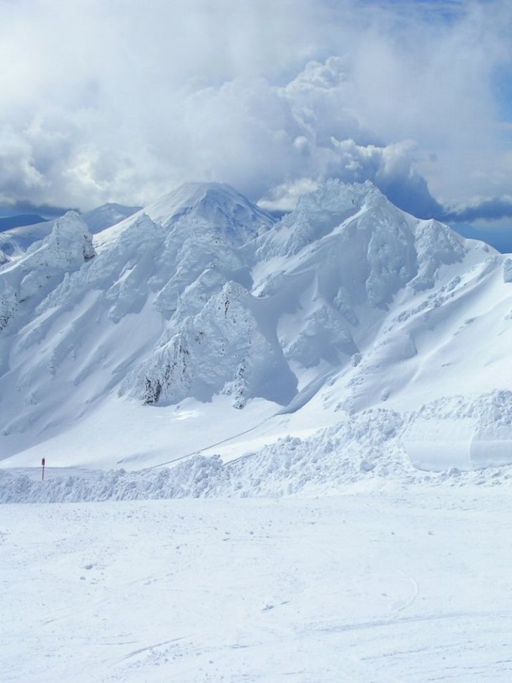 glädjerus! :). Foto: Louise Montgomery.