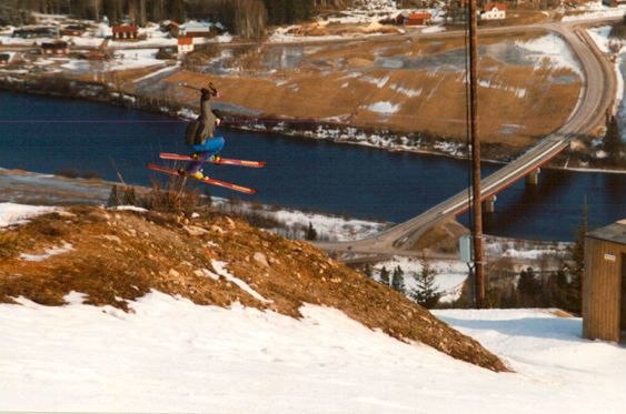 Foto: Anders Gåsste. Åkare: Gabbe Gåsste.