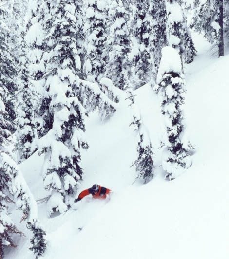 Foto: Shawn Morris. Åkare: Håkan Palm.