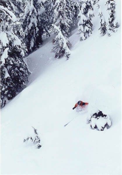 Foto: Shawn Morris. Åkare: Håkan Plam.