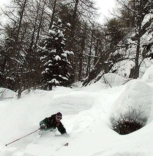 Foto: Johan Eklöv. Åkare: Henrik Persson.