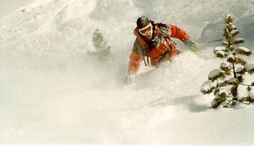 Foto: Jens Kirk. Åkare: Johan Öhlund.