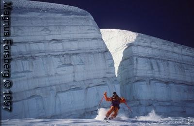 Foto: Magnus Forsberg.