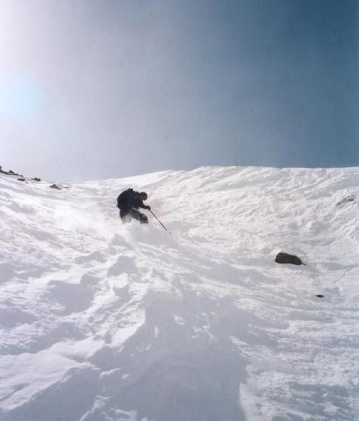 Foto: Quintin. Åkare: Mats Wigle.