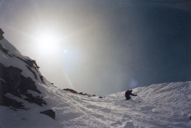 Foto: Quintin. Åkare: Mats Wigle.