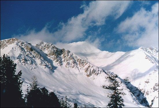 Foto: mattias arrelid. Åkare: okänd.