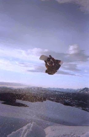 Foto: Øystein Aas. Åkare: Olav Bjørkum.