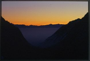 Foto: Per Liljeholm. Åkare: Naturbild.