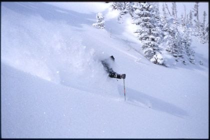 Foto: Per Liljeholm. Åkare: Okänd.