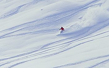 Foto: Per Liljeholm. Åkare: Okänd fransos.
