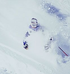 Foto: Per Liljeholm. Åkare: Okänd fransos.