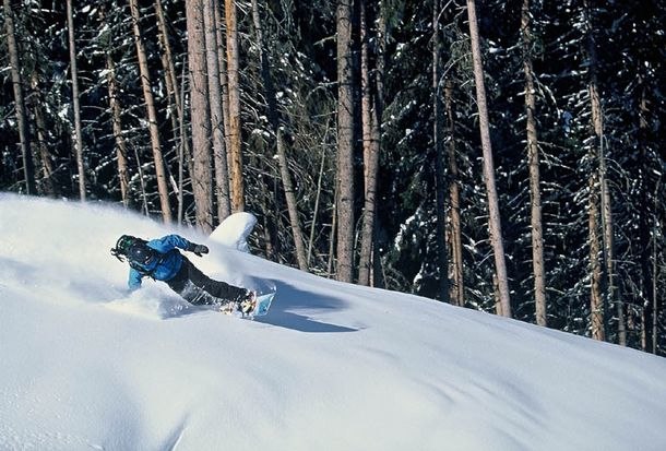 Foto: Fredrik Schenholm. Åkare: Pontus Andersson.