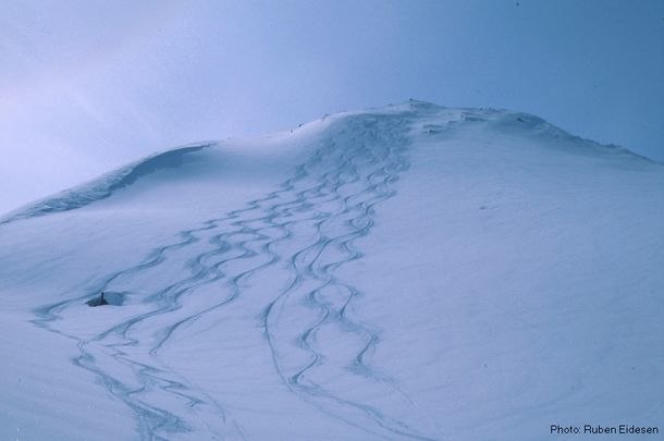 Foto: Ruben Eidesen. Åkare: Okända.