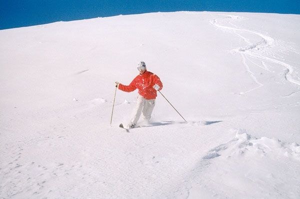 Foto: Jan Petter Johansen. Åkare: Snorre Mossing.
