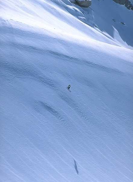 Foto: Alexander Klun. Åkare: Sverre Liljeqvist.