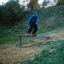 Raila hjemme i dag. D&aring;rlig kvalitet pga. litt def. Foto: Sigurd. &Aring;kare: Anders Backe.