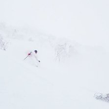 Japansk sn&ouml;. Foto: Edwin Ljungstrand. &Aring;kare: Andreas Ojam&auml;e.