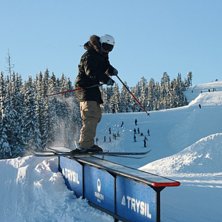 Foto: H&aring;kan T&ouml;rnblom. &Aring;kare: Oskar T&ouml;rnblom.