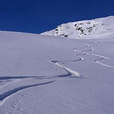 Vissa &aring;k vill man aldrig ska ta slut bara. Punkt..
