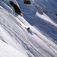 Foto: Jesper Eriksson. &Aring;kare: Jakob H&ouml;llerbauer.