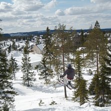 Foto: Christian . &Aring;kare: Steen.