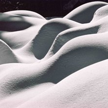 Foto: Fredrik Johansson.