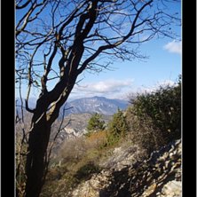 Foto: Edouard Drogou.