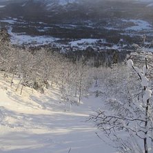 Foto: Daniel Lindblom.