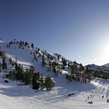 snurr med handp&aring;l&auml;ggning p&aring; skidans fr&auml;mre del. Foto: Chris O&amp;#039;Connell. &Aring;kare: Jacob Wester.