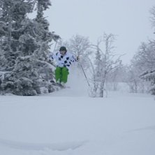 Drar p&aring; i skogen och flyger lite p&aring; bulor och ku. Foto: Kiljan Ardal. &Aring;kare: Viktor M&aring;nsson (jag).