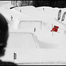 Foto: Andreas Timf&auml;lt / SwedenProPhoto.