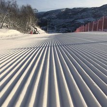 Nysn&oslash; og sol!
Etter g&aring;rsdagens sn&oslash;fall med 30 g.