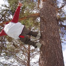 sk&ouml;n vinkel . Foto: Kenneth Jonsson. &Aring;kare: Stefan Persson.