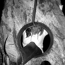 Foto: Viktor Jonsson.