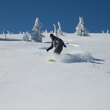 Detta &auml;r S&auml;len!!!. Foto: T Rydberg. &Aring;kare: Elin.