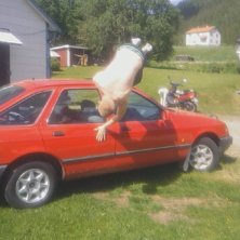 Foto: lina&amp;lt;3. &Aring;kare: jag.