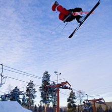 Foto: Andreas Timf&auml;lt / SwedenProPhoto.