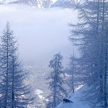 En dag med v&auml;ldigt speciellt ljus i skogen. Foto: Johan Hellman. &Aring;kare: Daniel Furberg.
