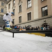 Winter Show i Kungstr&auml;dg&aring;rden 2014.. Foto: Hedda Berander.