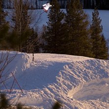 Nosemute . Foto: Johan Wennerstr&ouml;m. &Aring;kare: Jens Nystr&ouml;m.